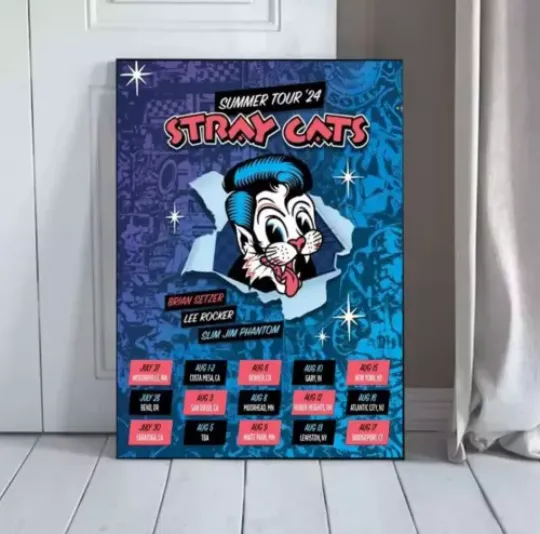 Stray Cats Summer Tour 2024 Poster Home Decor
