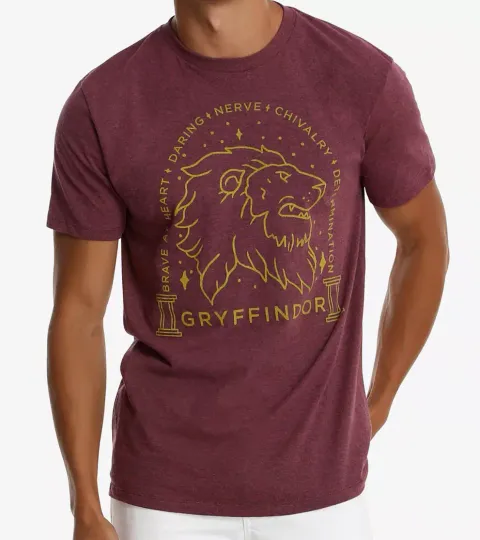 Harry Potter GRYFFINDOR SKETCH T-Shirt