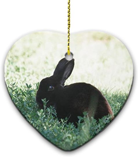 Discover Lil Black Bunny Ceramic Ornament