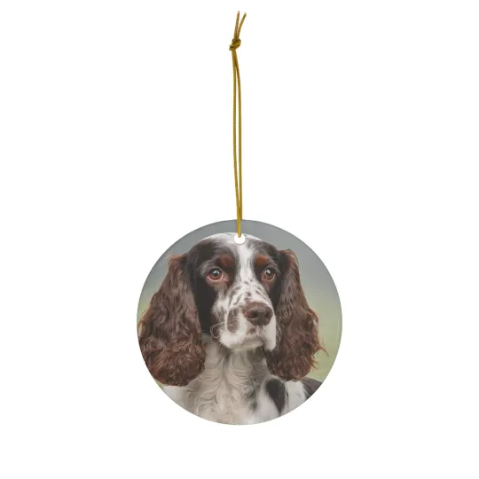 Ceramic Ornament, 4 Shapes