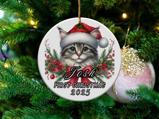 Personalized Cat Christmas Ornament, First Christmas Ornament 2025, Cute Cat Christmas Decoration, Holiday Tree Ornament
