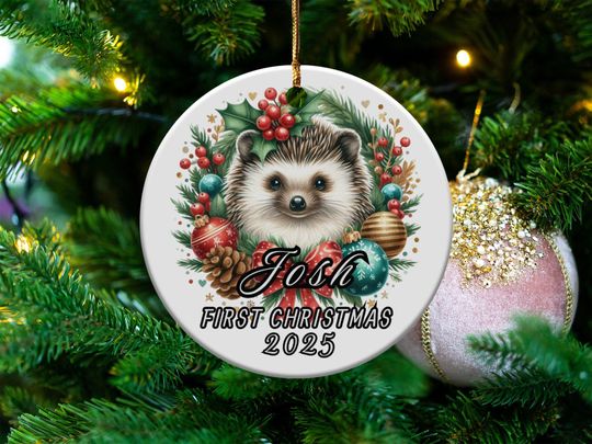 Personalized Hedgehog First Christmas Ornament 2025 Baby's First Christmas Ornament Holiday Decor Custom Family Gift