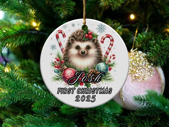 Baby's First Christmas Ornament 2025, Hedgehog Holiday Ornament, Personalized Christmas Keepsake, Baby's First Holiday Decoration