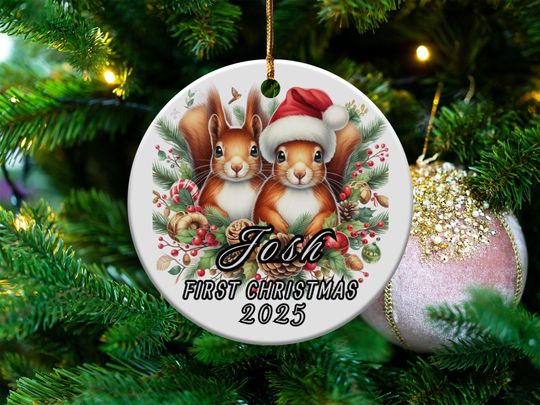 Baby's First Christmas Ornament 2025, Cute Squirrel Christmas Keepsake, Personalized Baby's First Holiday Decoration, Christmas Gift