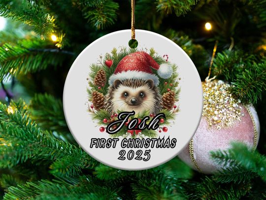 Personalized Hedgehog First Christmas Ornament 2025, Custom Name Christmas Decoration, Cute Animal Holiday Tree Decor, Unique Gift