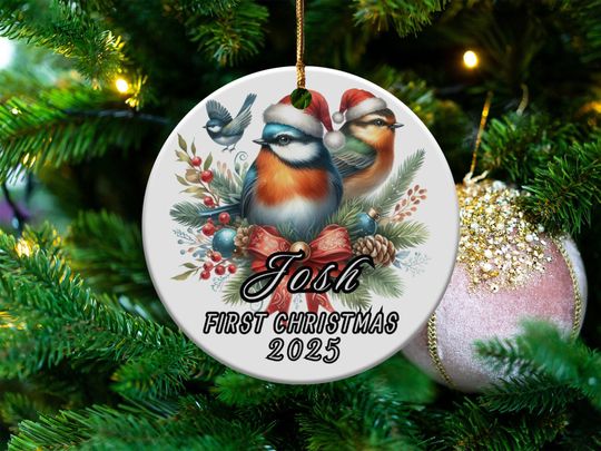 Personalized Bird Ornaments, First Christmas 2025 Ornament, Custom Name Ornament, Holiday Tree Decoration, Unique Christmas Gift