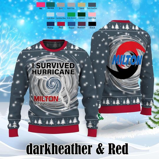 Hurricane Milton Sweater, I Survived Hurricane Milton 2024 Ugly Sweater, Pray for Florida Sweater Christmas, Ugly Sweater Christmas