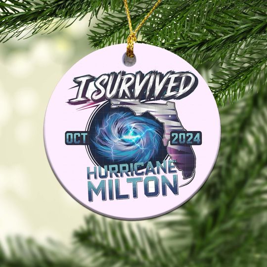 I Survived Hurricane Milton 2024 Ornament,Pray for Florida Ornament, Hurricane Milton Ornament,Hurricane Milton Ornament, Christmas ornament