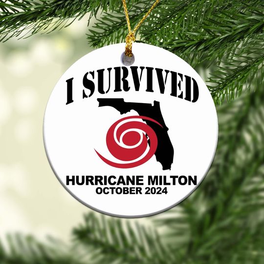 I Survived Hurricane Milton 2024 Ornament,Pray for Florida Ornament, Hurricane Milton Ornament,Hurricane Milton Ornament, Christmas ornament