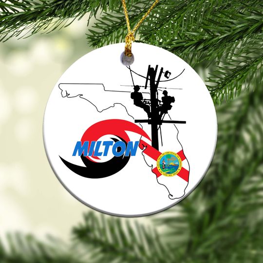 I Survived Hurricane Milton Ornament, Hurricane Milton 2024 Ornament,Pray for Florida Ornament,Hurricane Milton Ornament, Christmas ornament