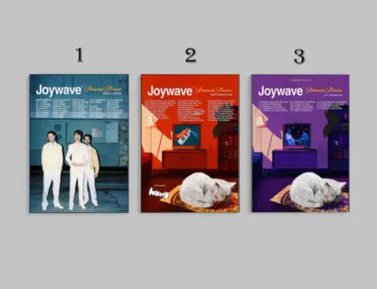 Joy-wave North America Tour 2024 Date UK Concert Poster Art Print
