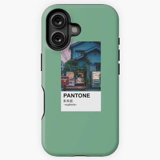 Copy of Pantone Aesthetic Anime Japanese Sunset iPhone Case
