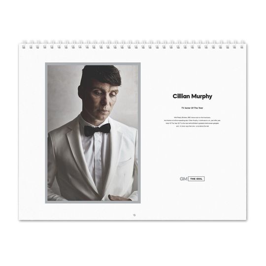 Cillian Murphy - Actor Of The Year - 2025 Wall Calendar, Celebrity Wall Calendar 2025, Best Gift For Christmas, New Year