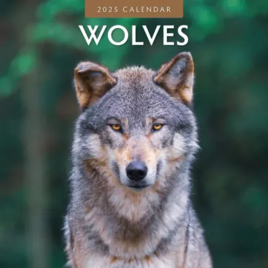 Wolves 2025 Square Wall Calendar