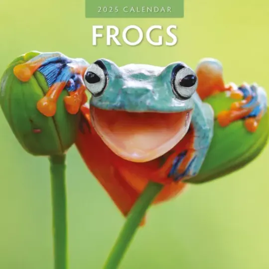Frogs 2025 Square Wall Calendar