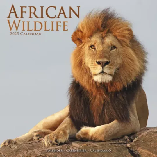 African Wildlife Calendar 2025 Gift Wall Safari Calendar 15% OFF MULTI ORDERS