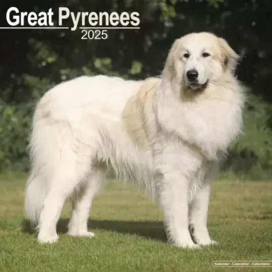 Great Pyrenees Calendar 2025 Dog Breed Gift Wall Calendar 15% OFF MULTI ORDERS!