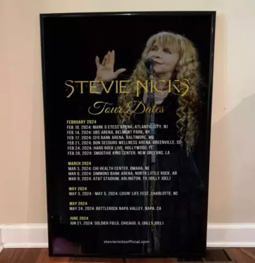 Stevie Nicks 2024 Tour Poster