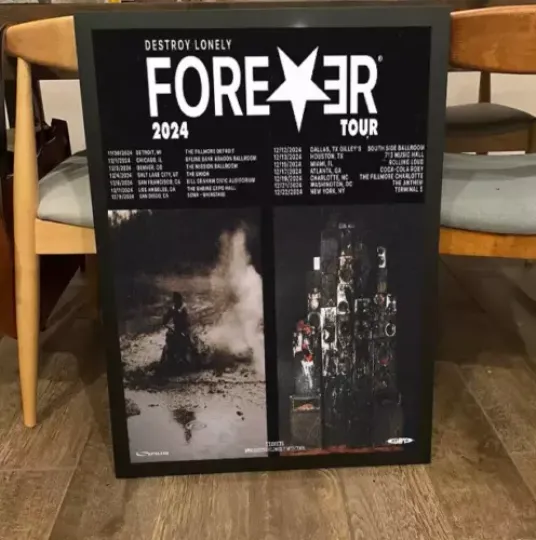 Destroy Lonely Forever 2024 Tour Poster, Home Decor