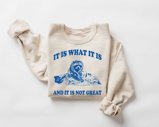 It Is What It Is And It Is Not Great Sweatshirt, Mental Health Sweatshirt, Meme Sweatshirt, Raccoon, Preppy Clothes, Trendy Y2k
