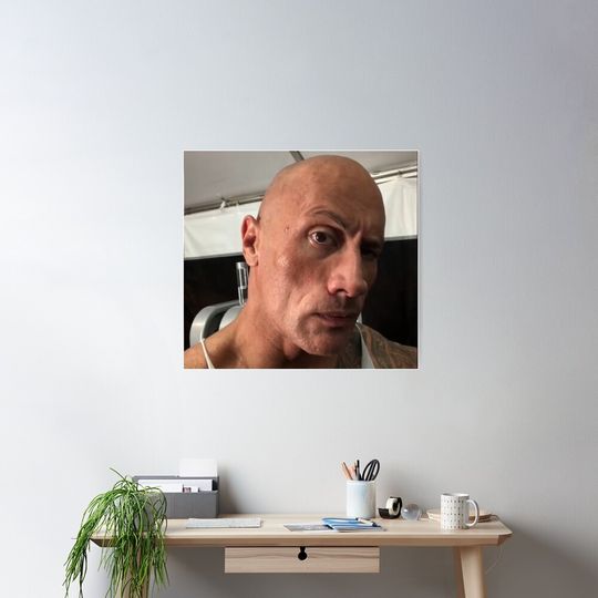 The rock eyebrow meme Poster