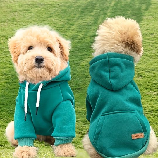 Explore Dog hoodies