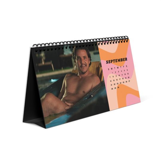 Pedro Pascal 2025 Desktop Calendar - Actor Fan Gift, TV Show Calendar, Pop Culture Desk Planner