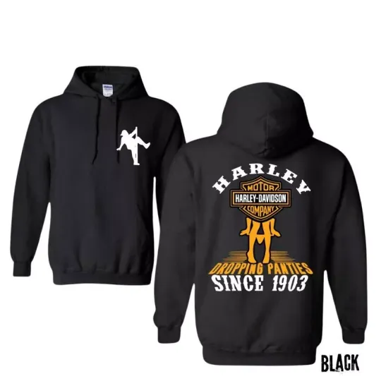 Bold Biker Long Sleeve Casual Pullover Hoodie Haarleyy Davidson Graphic Hoodie for Men