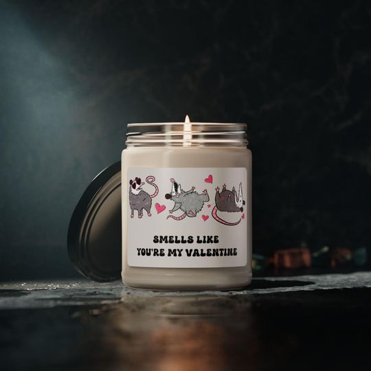 Smells Like You're My Valentine Candle, Funny Valentine Gift, Possum Valentine Candle Gift