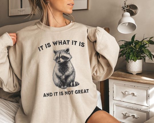 Funny Raccoon Shirts Trash Panda Shirt, Meme Sweatshirt