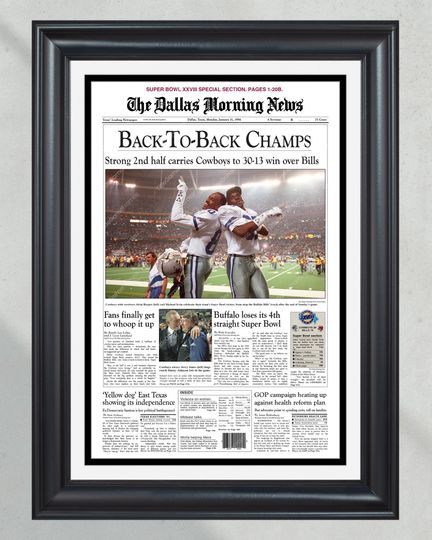 1994 Dallas Cowboys Back to Back Super Bowl Champions  (NO Framed) Poster