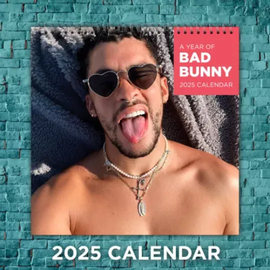 Bad Bunny Calendar 2025, Bad Bunny Celebrity 2025 Wall Calendar