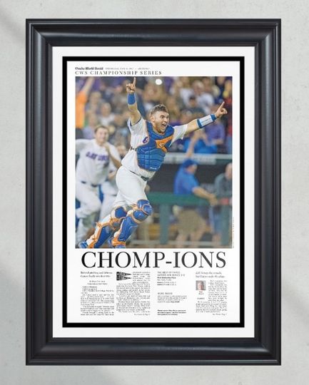 2017 Florida Gators College World Series Champions (NO FRAMED) Poster