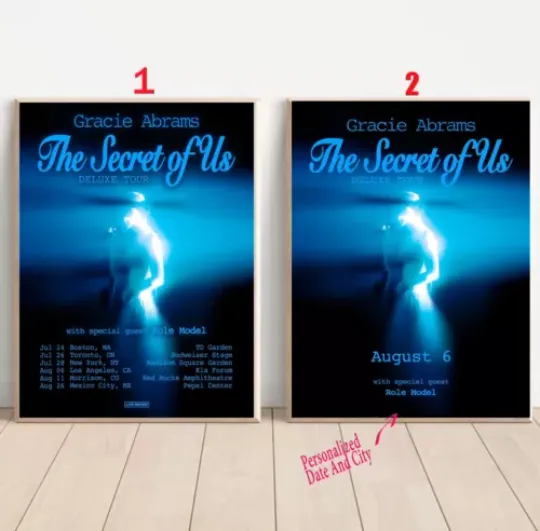 Custom Gracie Abrams The Secret Of Us Deluxe Tour 2025 Poster