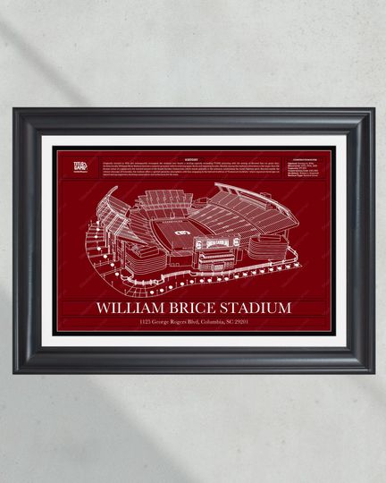 South Carolina Gamecocks Williams-Brice Stadium Blueprint: College Football Wall Art (NO FRAMED)