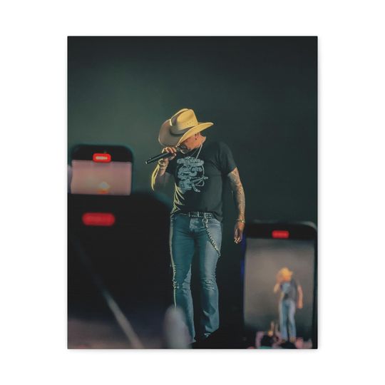Jason Aldean Concert Scene, Matte Finish, Stretched, Country Music Decor, Wall Art, Gift for Music Lover