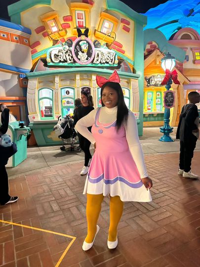 The Daisy Skater Dress