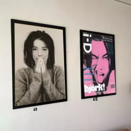 Bjork Poster, Music Poster Print, Singer Poster
