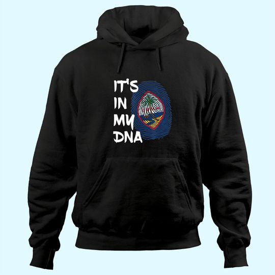 Discover Guam Heritage Guamanian Roots Hoodie