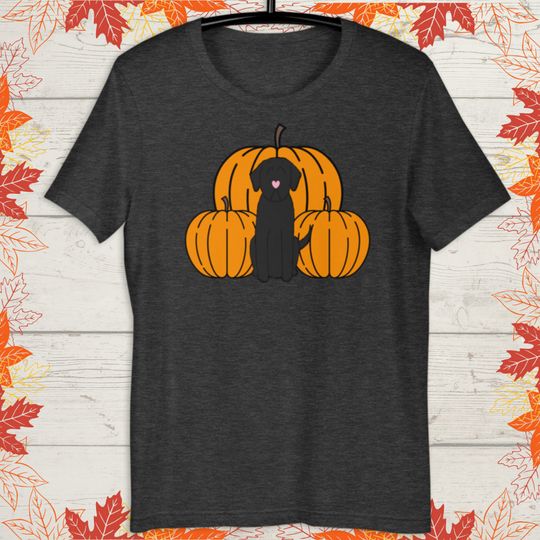 Black Lab Pumpkin T Shirt
