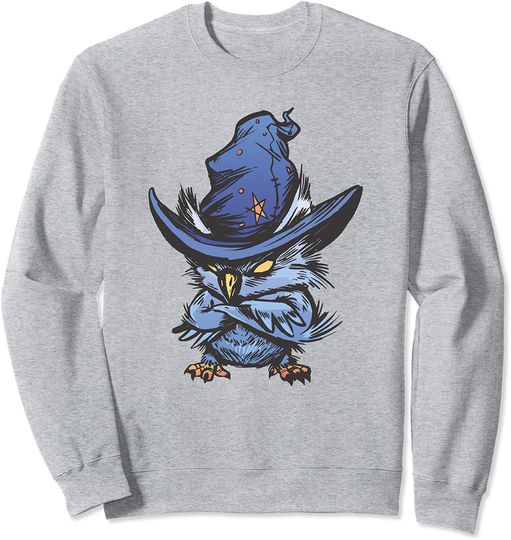 Angry Owl Sweatshirt With Witch Hat Bird Halloween