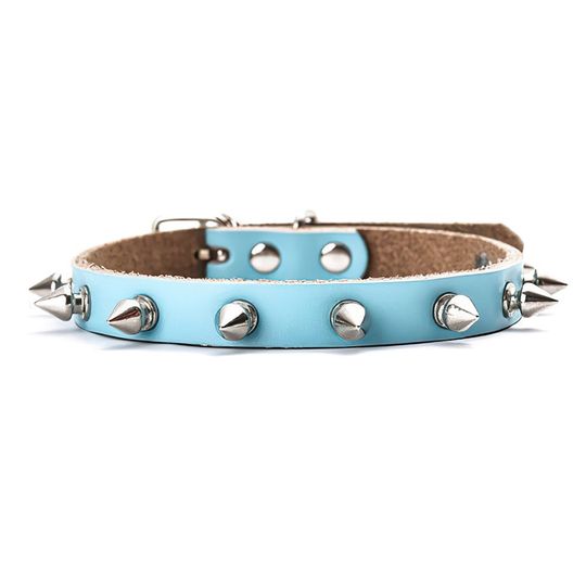 Pet Collar Blue