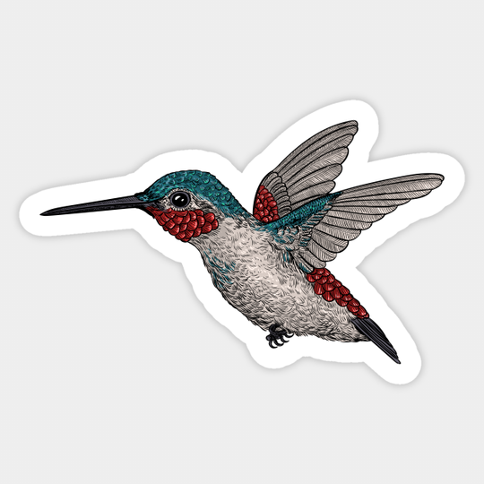 Hummingbird 2 - Hummingbird - Sticker