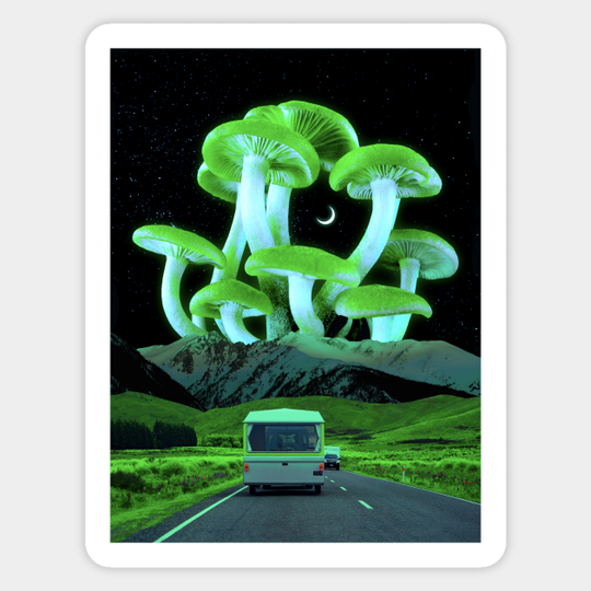 Green Mushrooms (Trippyland) - Trippy - Sticker
