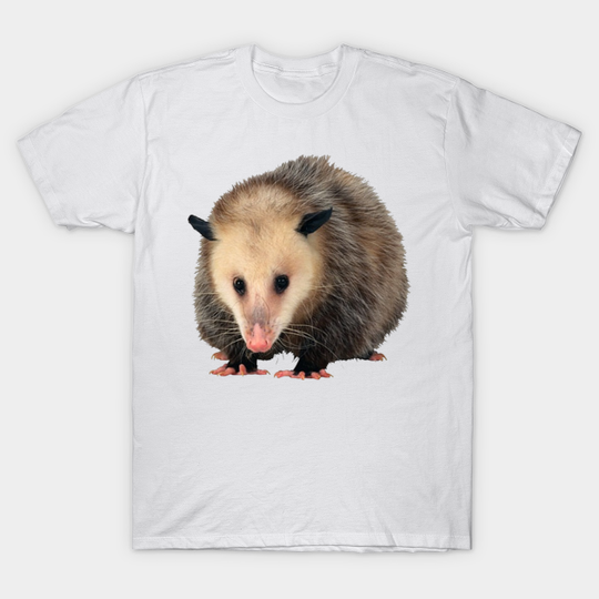 Possum - Possum - T-Shirt