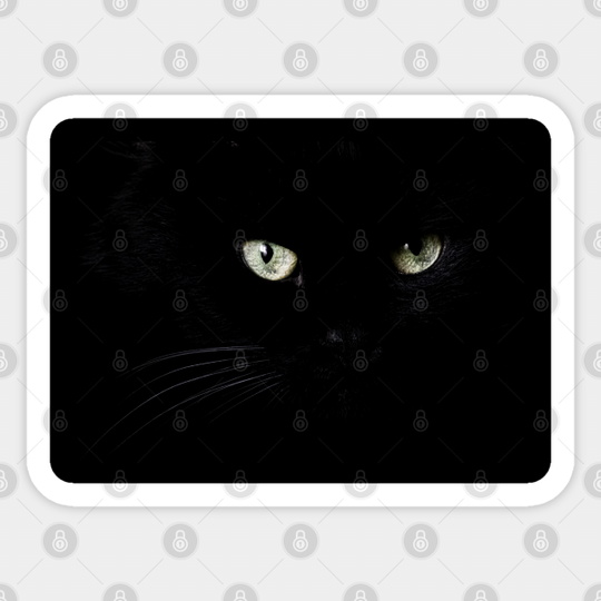 Black cat face and eyes - Black Cat - Sticker