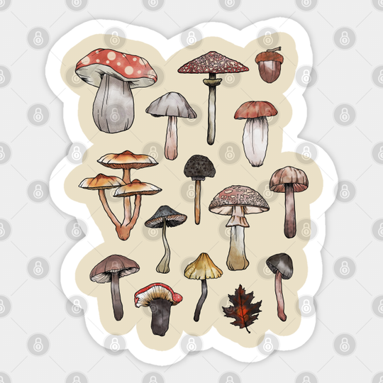 Watercolor Mushrooms Fungi Cottagecore Goblincore - Mushroom - Sticker