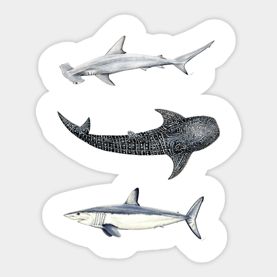 Shark trio: hammerhead shark, mako shark and whale shark - Sharks - Sticker