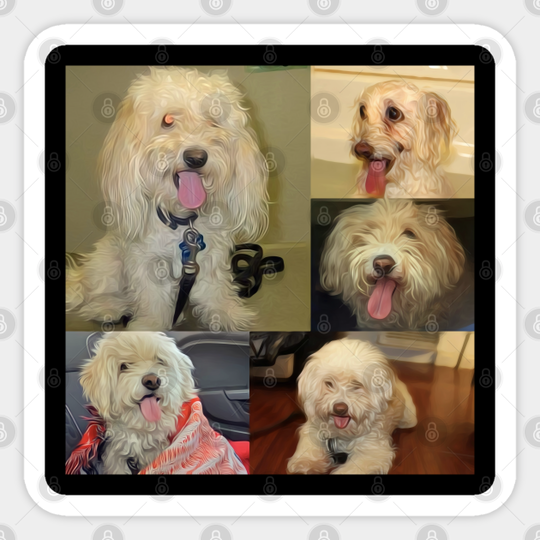 Shaggy Collage - Pet - Sticker