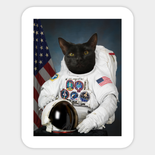 Black Cat Astronaut (Nasa Employee Photo) - Catshirt - Sticker